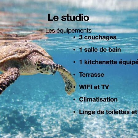 Studio Hippocampe P&V Sainte-Luce Dış mekan fotoğraf